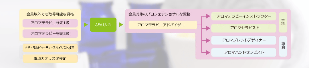 AEAJが認定する資格の全体像
